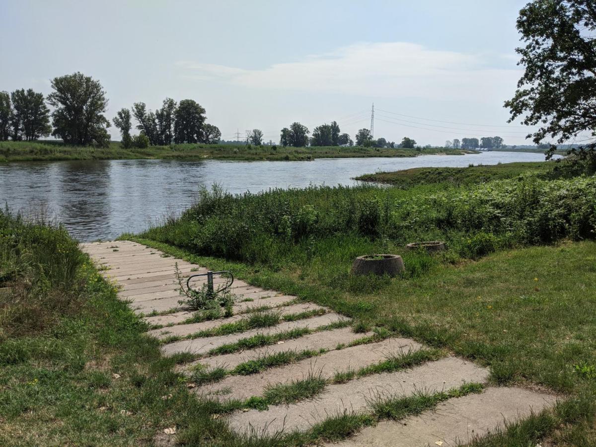 An Den Elbwiesen Gz Fewo Elbeblick Nur Nichtraucher Dommitzsch Extérieur photo